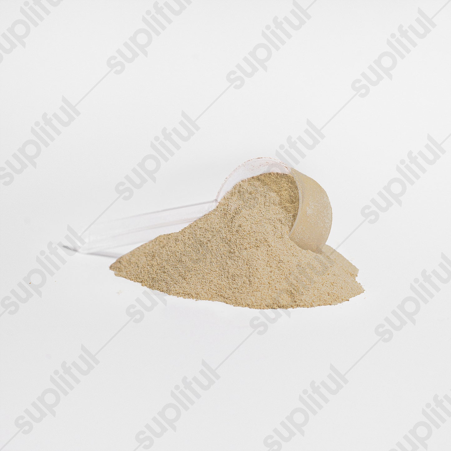 TSO Advanced 100% Whey Protein Isolate (Vanilla)