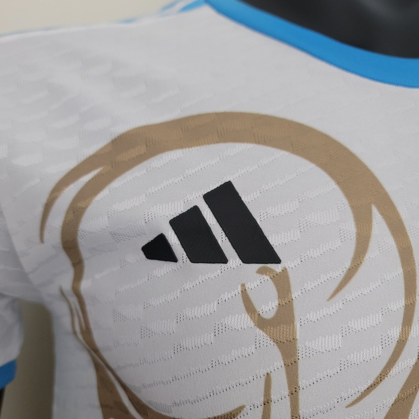 ARGENTINA SPECIAL EDITION II 23/24 MEN (PLAYER VERSION)
