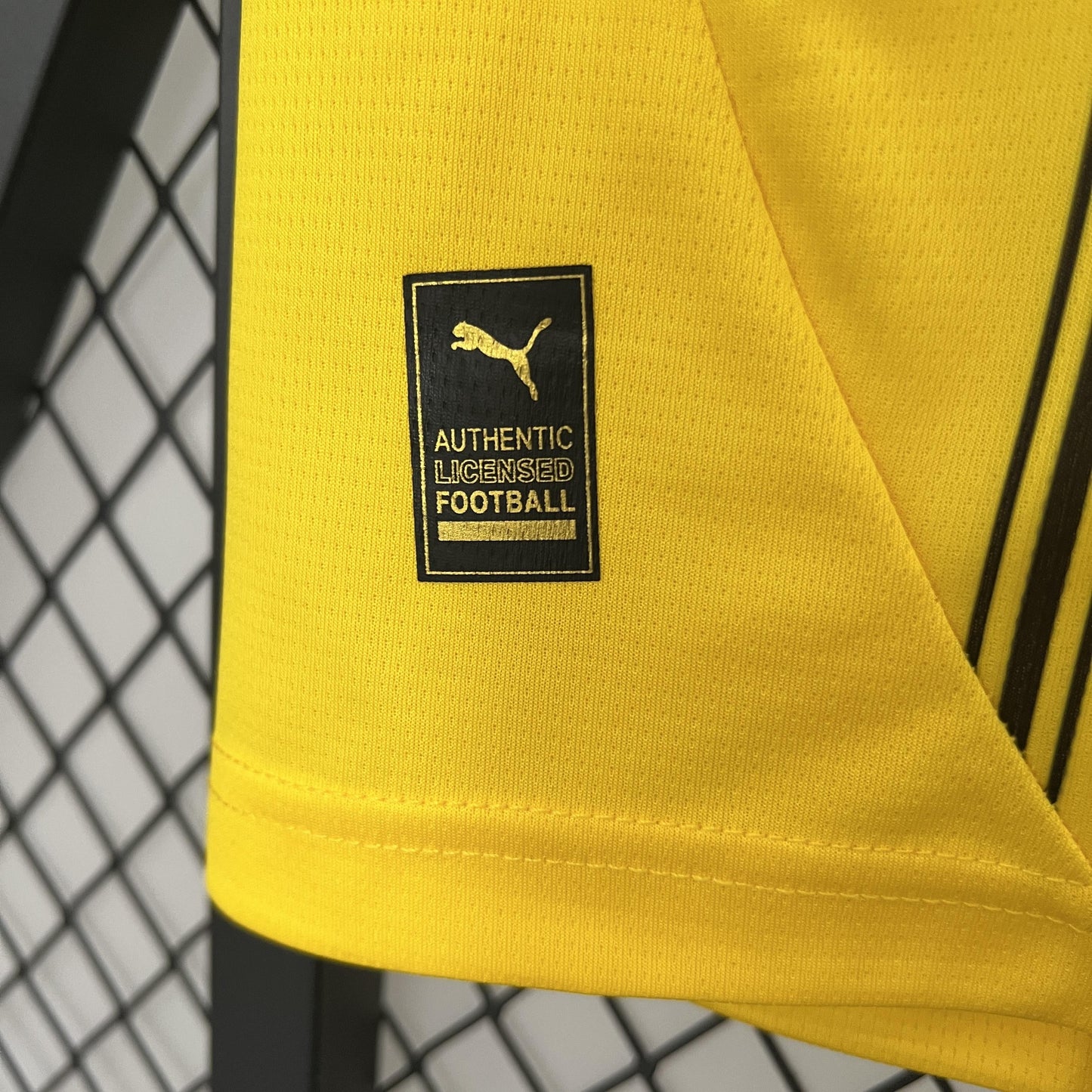 BORUSSIA DORTMUND 24/25 MEN