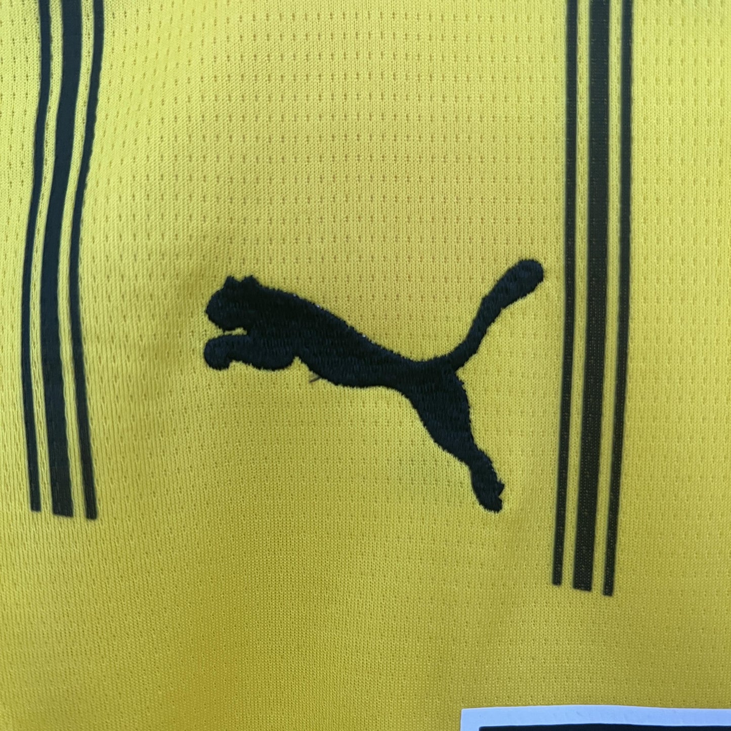 BORUSSIA DORTMUND I 24/25 KIDS KIT