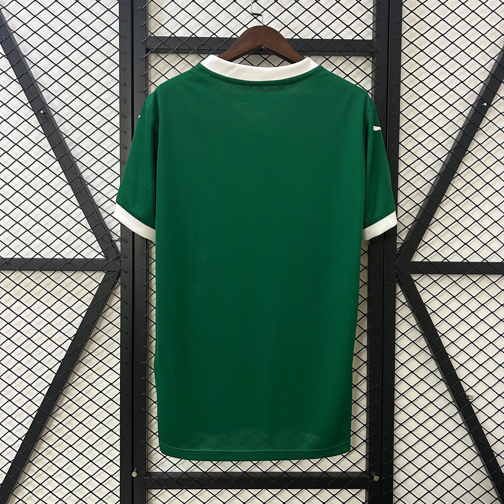 25/26 PALMEIRAS HOME