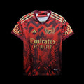 ARSENAL SPECIAL EDITION V 23/24 MEN