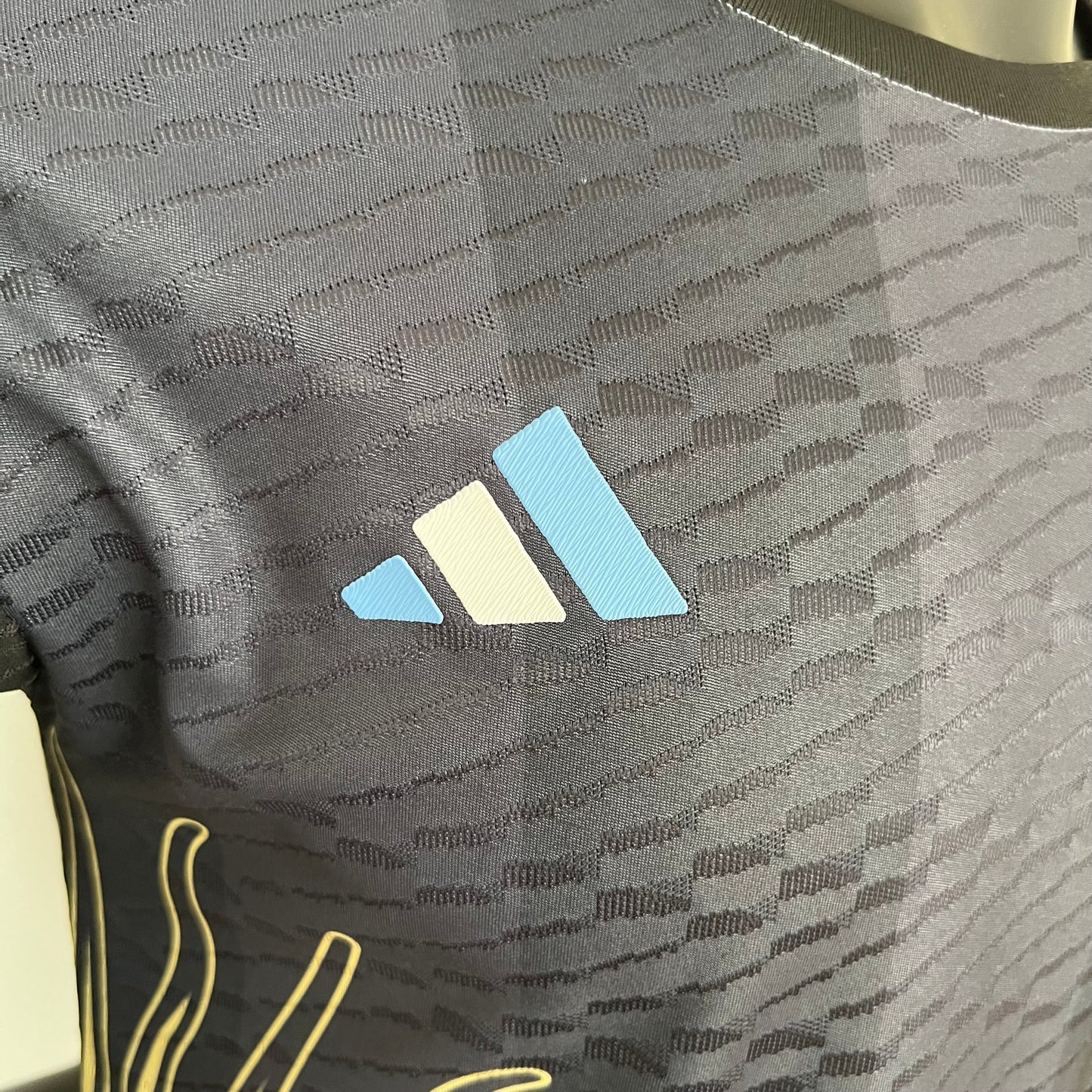 ARGENTINA SPECIAL EDITION IV 23/24 MEN (PLAYER VERSION)