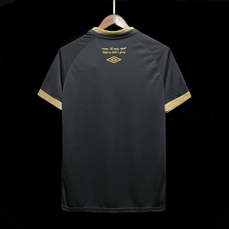 CHAPECOENSE SPECIAL EDITION I 23/24 MEN