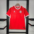 JERSEY DENMARK MEN